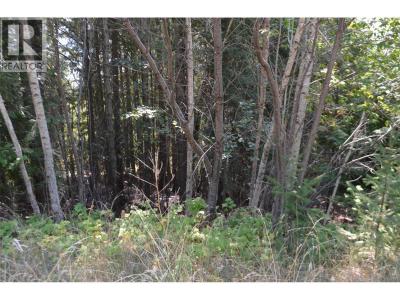 FRASER ROAD, Anglemont, ブリティッシュコロンビア V0E 1M8, カナダ