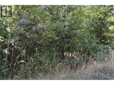 FRASER ROAD, Anglemont, ブリティッシュコロンビア V0E 1M8, カナダ