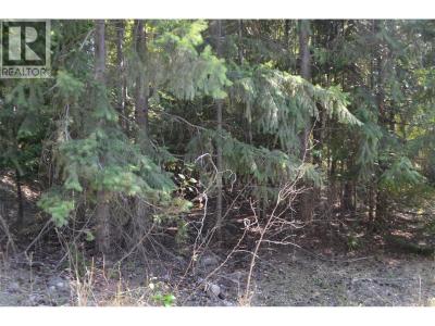 FRASER ROAD, Anglemont, ブリティッシュコロンビア V0E 1M8, カナダ