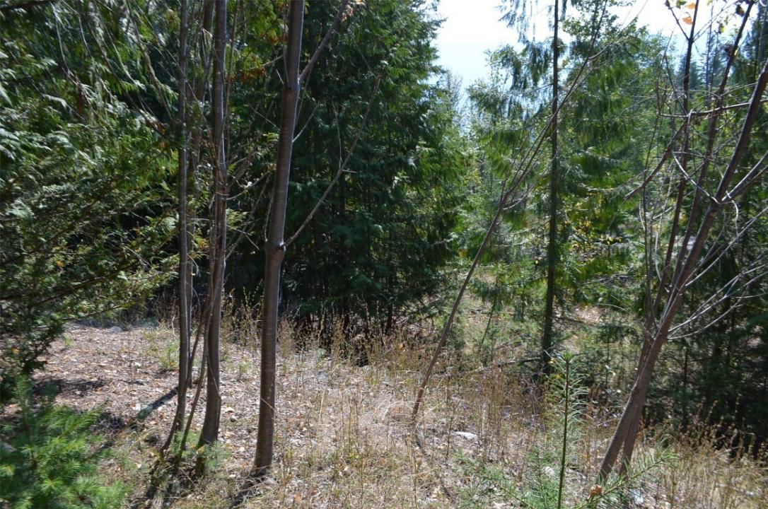 FRASER ROAD, Anglemont, ブリティッシュコロンビア V0E 1M8, カナダ