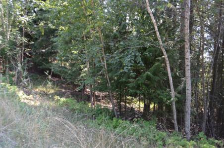 FRASER ROAD, Anglemont, ブリティッシュコロンビア V0E 1M8, カナダ