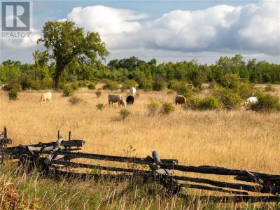 NA TEN MILE POINT ROAD S, Sheguiandah, Ontario P0P 1W0, CANADÁ