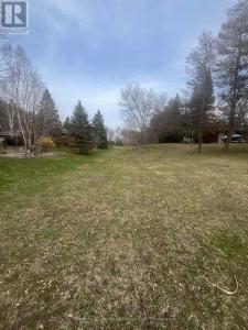 0 HIGHWAY #6 NORTH, West Grey, 安大略省 N0G 1R0, 加拿大