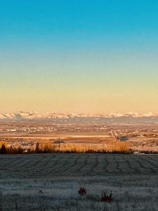 000 547, Aldersyde, Alberta T0L 0A0, Canada