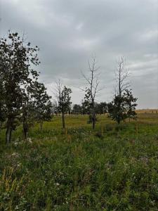 000 547, Aldersyde, Alberta T0L 0A0, Canadá