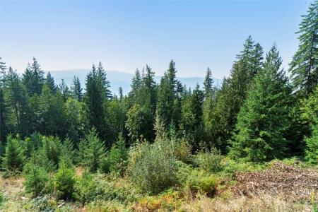 7660 LICHEN ROAD, Anglemont, קולומביה הבריטית V0E 1M8, קנדה 