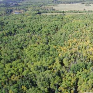 RURAL ADDRESS, Mervin Rm No.499, Saskatchewan S0M 1J0, Canada