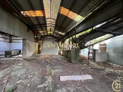 照鏡路, Синьпу, Уезд Синьчжу 305, Тайвань