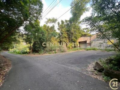 照鏡路, Синьпу, Уезд Синьчжу 305, Тайвань