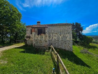 podere le rocchette, Roccastrada, Toscana 58036, Ý