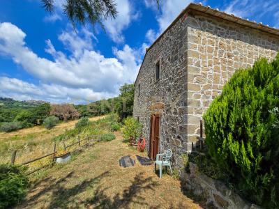podere le rocchette, Roccastrada, Toscana 58036, Ý