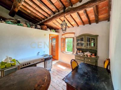 podere le rocchette, Roccastrada, Toscana 58036, Ý