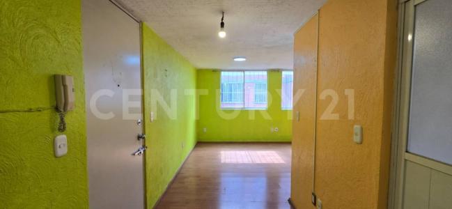 LAGO TAULEBE ,, Miguel Hidalgo, Ciudad De México 11440, 墨西哥