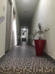 Cajeme, Sonora 85040, México