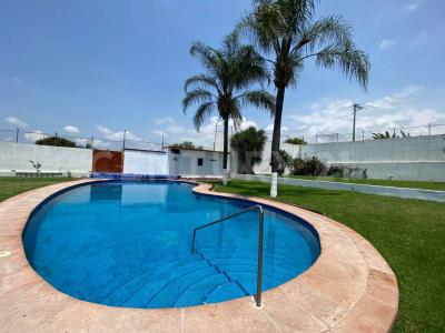 LOSAMATES 09,, Yautepec, Morelos 62738, Mexico