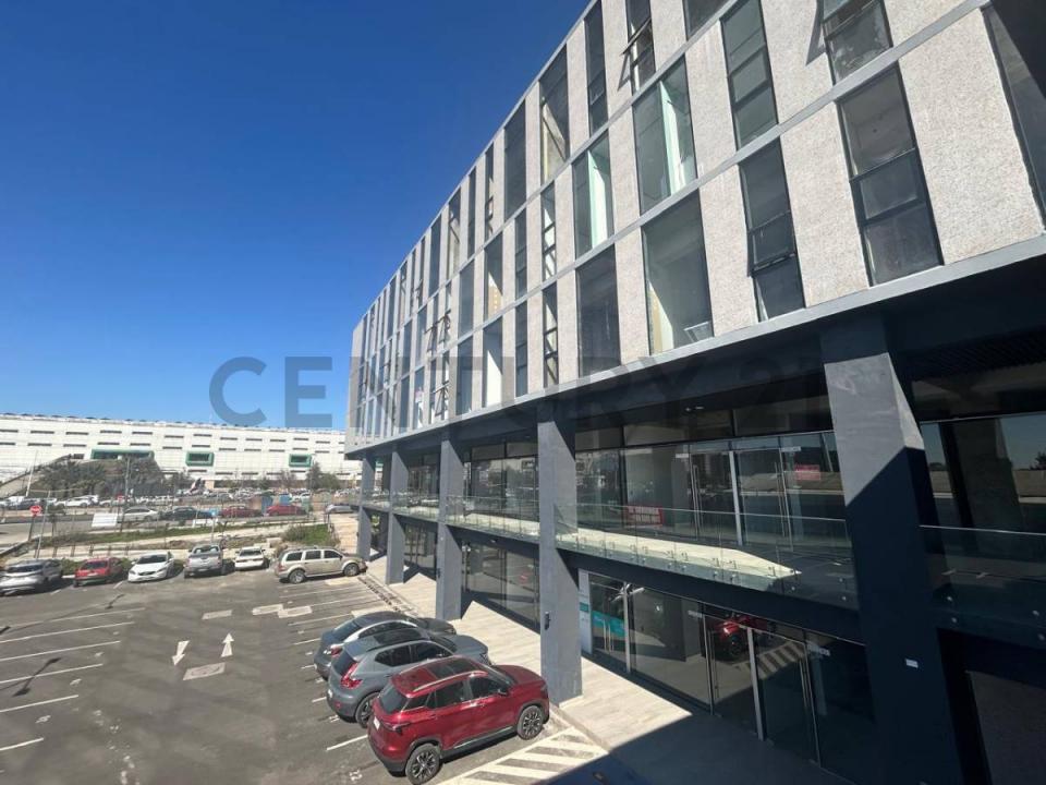 Cachapoal, Región Del Libertador Gral. Bernardo O’Higgins 00001, Chile