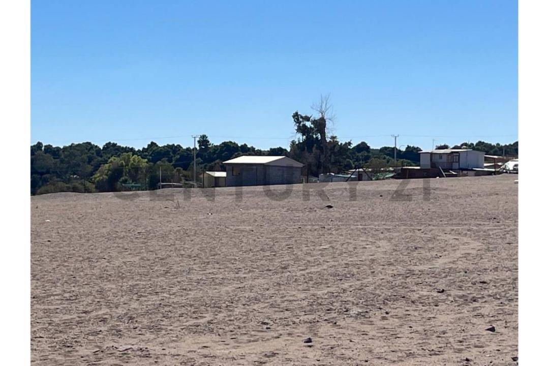 Tamarugal, Tarapacá 00001, Chile