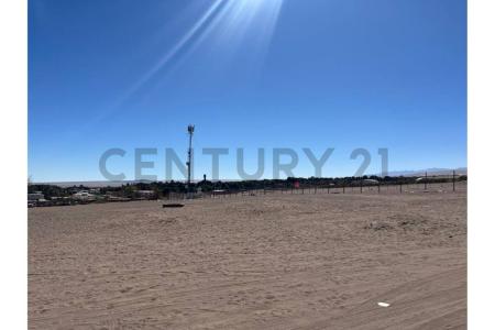 Tamarugal, Tarapacá 00001, Chile