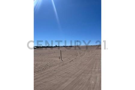 Tamarugal, Tarapacá 00001, Chile