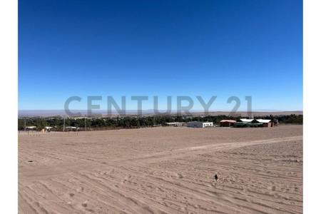 Tamarugal, Tarapacá 00001, Chile