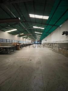 Tocuyito, Carabobo 2001, ベネズエラ