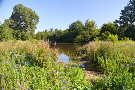 TBD VZ County Road 1820, Grand Saline, Texas 75140