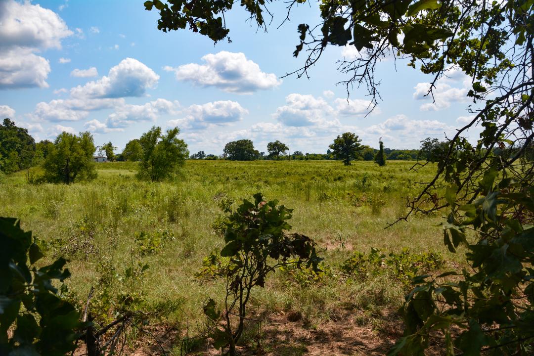 TBD VZ County Road 1821, Grand Saline, Texas 75140