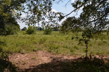 TBD VZ County Road 1821, Grand Saline, Texas 75140