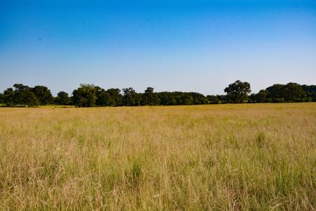 TBD VZ County Road 1821, Grand Saline, Texas 75140