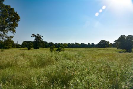 TBD VZ County Road 1821, Grand Saline, Texas 75140