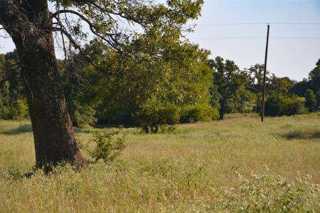 TBD VZ County Road 1821, Grand Saline, Texas 75140