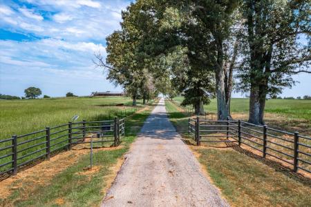 9208 FM 17 (75 Acres), Grand Saline, Texas 75140