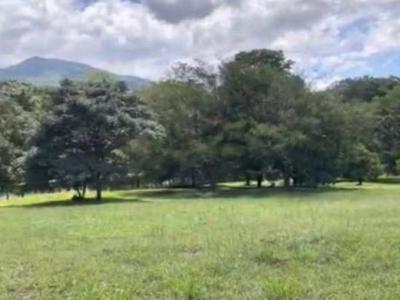 San Rafael Central, Алахуэла 20108, Коста-Рика