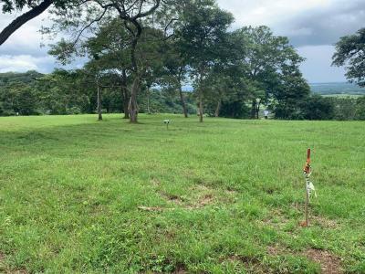 Golfo De Papagayo Liberia, Guanacaste 50501, Costa Rica