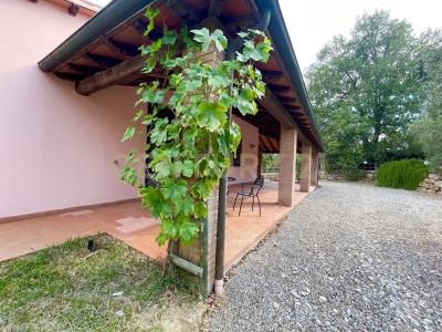 località colle di lupo, Magliano In Toscana, Toscana 58051, İtalya