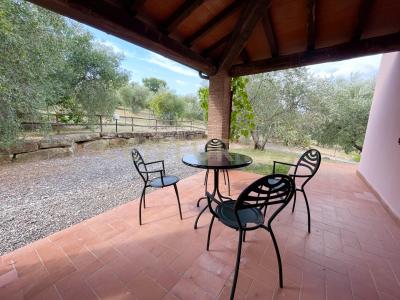 località colle di lupo, Magliano In Toscana, Toscana 58051, İtalya