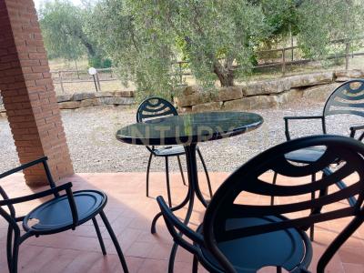 località colle di lupo, Magliano In Toscana, Toscana 58051, İtalya