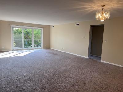 8616 W 95th Place , 307, Hickory Hills, Illinois 60457