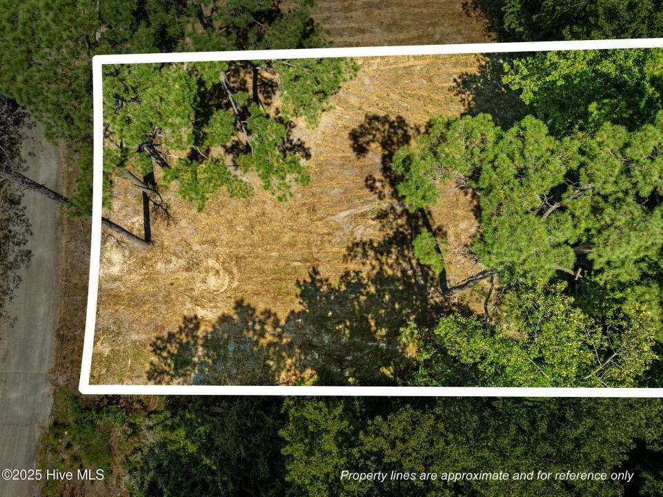 124 Jupiter Trail, Jacksonville, צפון קרוליינה 28546, ארצות הברית של אמריקה