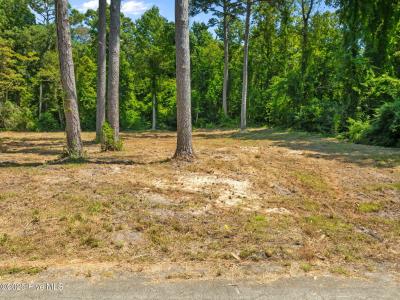 124 Jupiter Trail, Jacksonville, צפון קרוליינה 28546, ארצות הברית של אמריקה