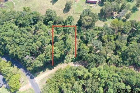 tbd FRIO CT, Mt Vernon, טקסס 75457, ארצות הברית של אמריקה 