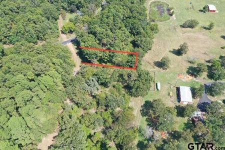 tbd FRIO CT, Mt Vernon, טקסס 75457, ארצות הברית של אמריקה 