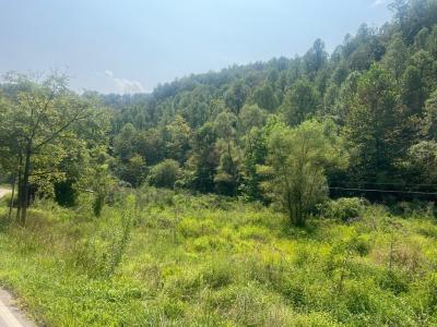 00 Ky Rt. 3385 DB676 PG411, Prestonsburg, Kentucky 41653, États-Unis