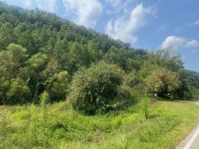 00 Ky Rt. 3385 DB676 PG411, Prestonsburg, Kentucky 41653, États-Unis