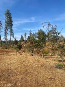 5640 Gramercy Place, Paradise, California 95969