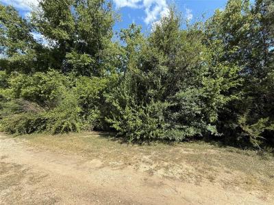 120 Live Oak Spur, Whitney, Texas 76692