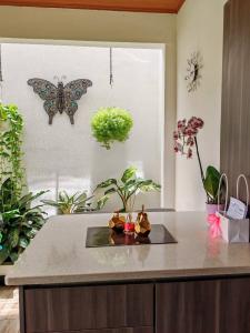  , San Pablo San Pablo, Heredia 00001, Costa Rica