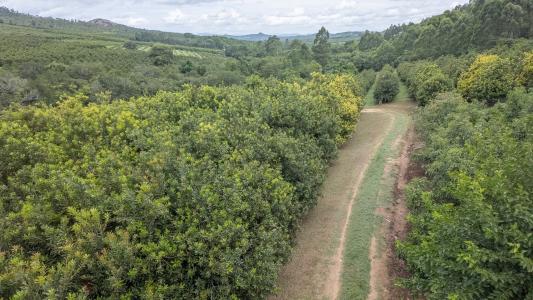 Nelspruit, Mpumalanga, Afrique Du Sud