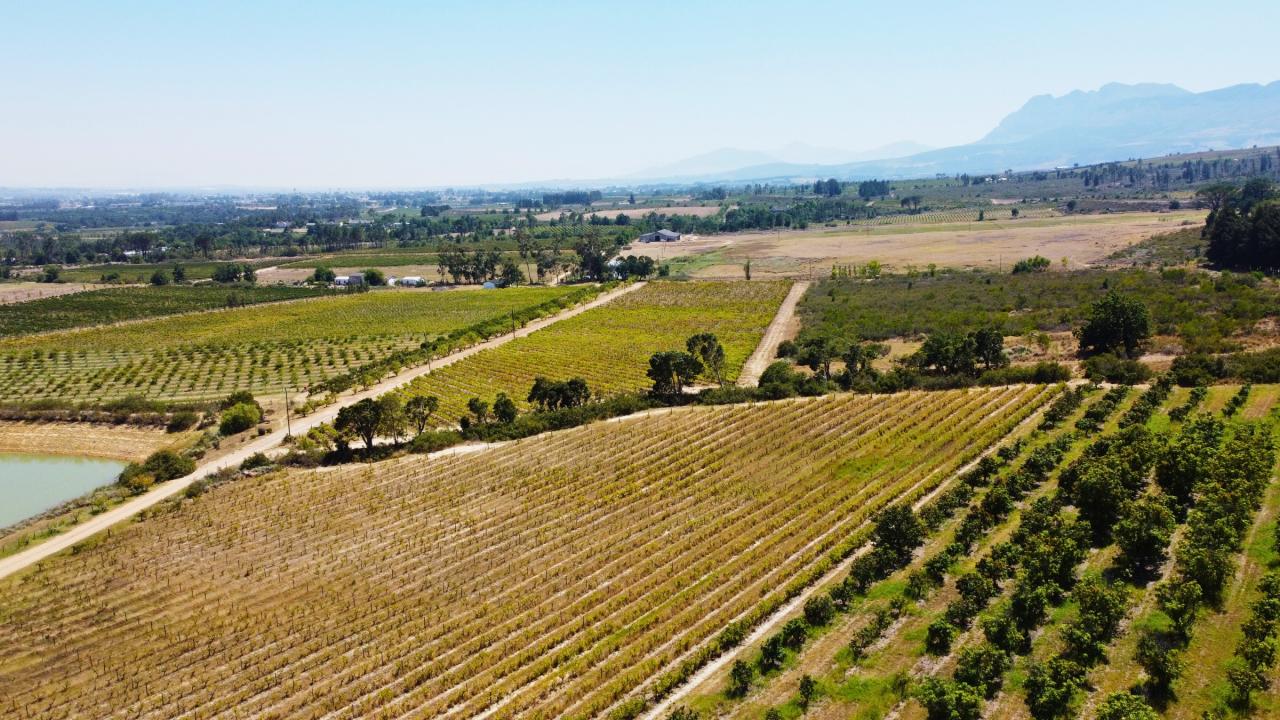 Paarl, Western Cape, South Africa