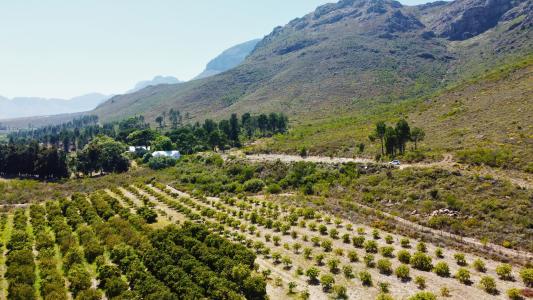 Paarl, Western Cape, South Africa
